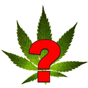 marijuana2