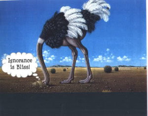 ostrich